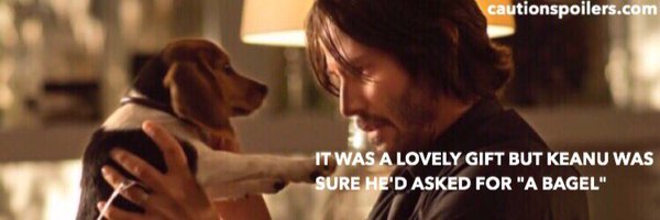 cautionspoilers Profile Banner