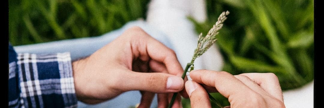 sweetsweetrodri banner