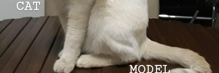 Vtorluis's profile banner image