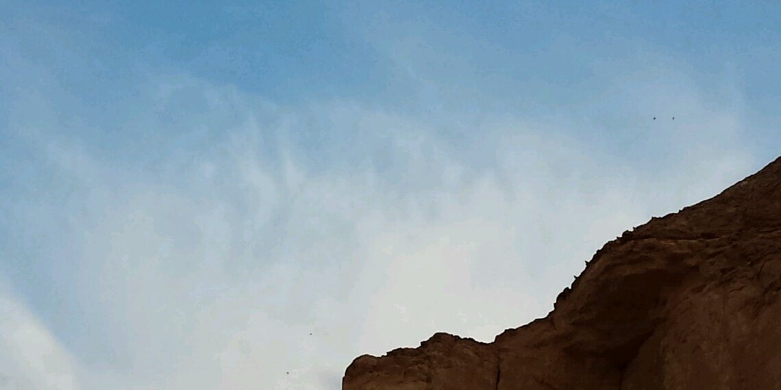 د. ملاك العبداللطيف banner