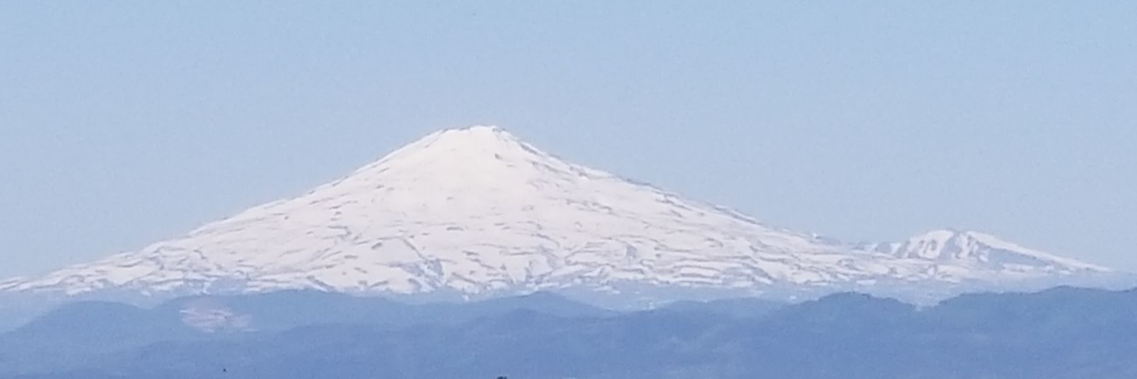 ひろきぃ banner