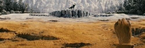 Mike Rourke banner