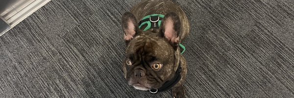 DrLeeCoutts Profile Banner