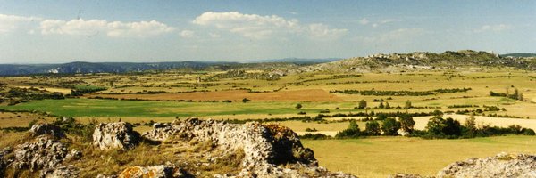 JeromeMoly Profile Banner