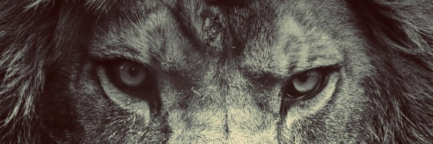 RohithMUPPANA1's profile banner image