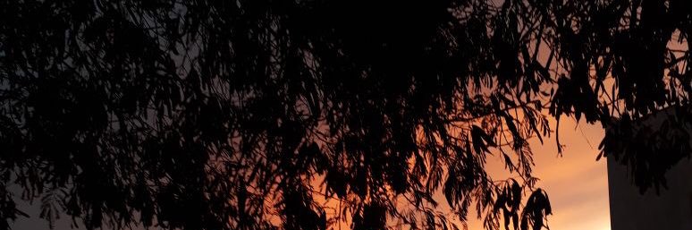 AAs8185's profile banner image