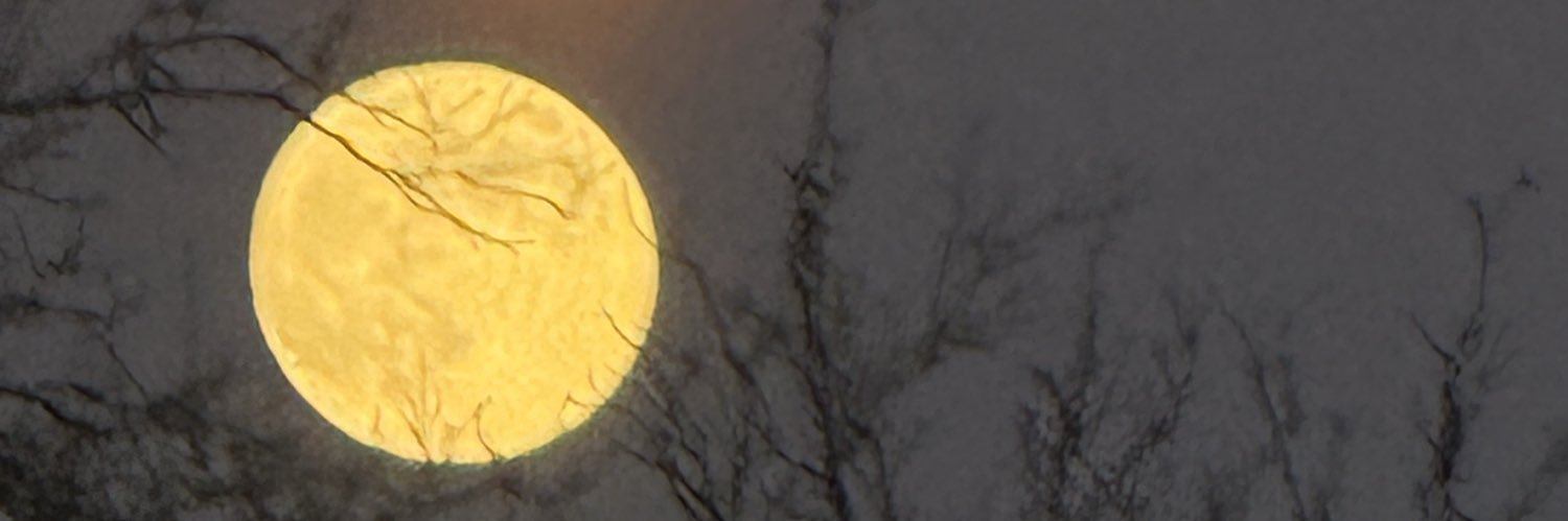 queenlex14's profile banner image