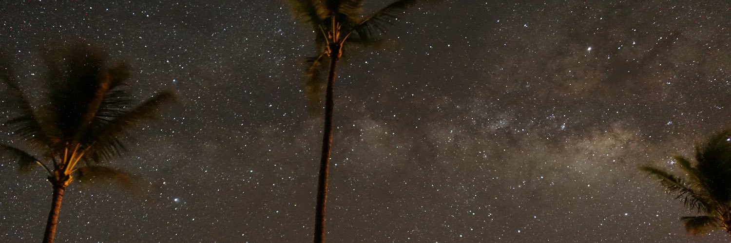 dsfridman's profile banner image