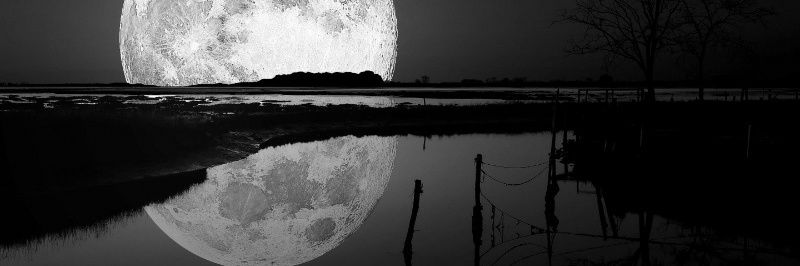 ShaperofDreams's profile banner image