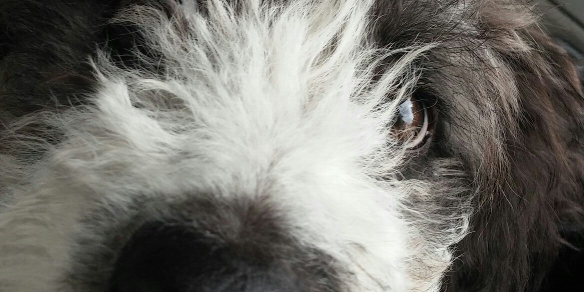ozzytta's profile banner image