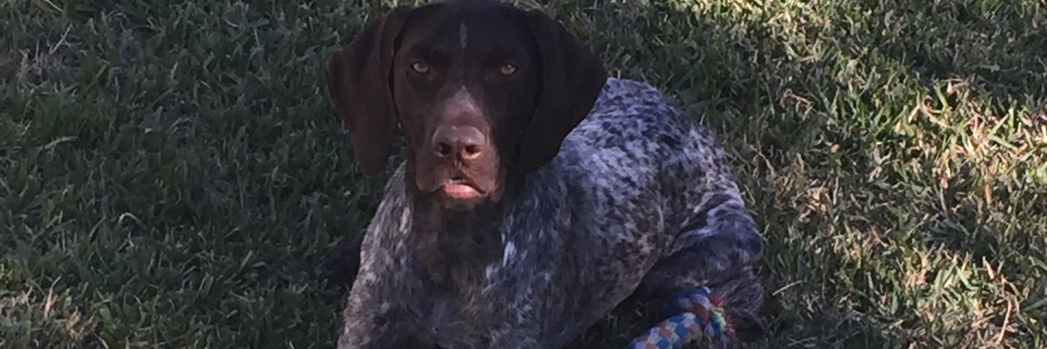 DaRealJayProsch's profile banner image