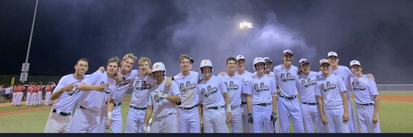 Pro Player Academy Home of GRB Rays-Illinois banner