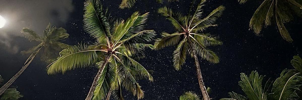 r_3gl's profile banner image