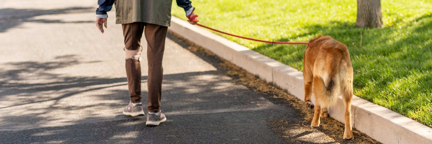 Nevada Humane Society banner