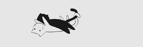 tsukibkage Profile Banner