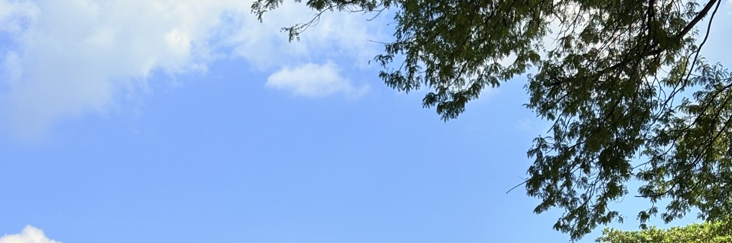 caprionyx's profile banner image