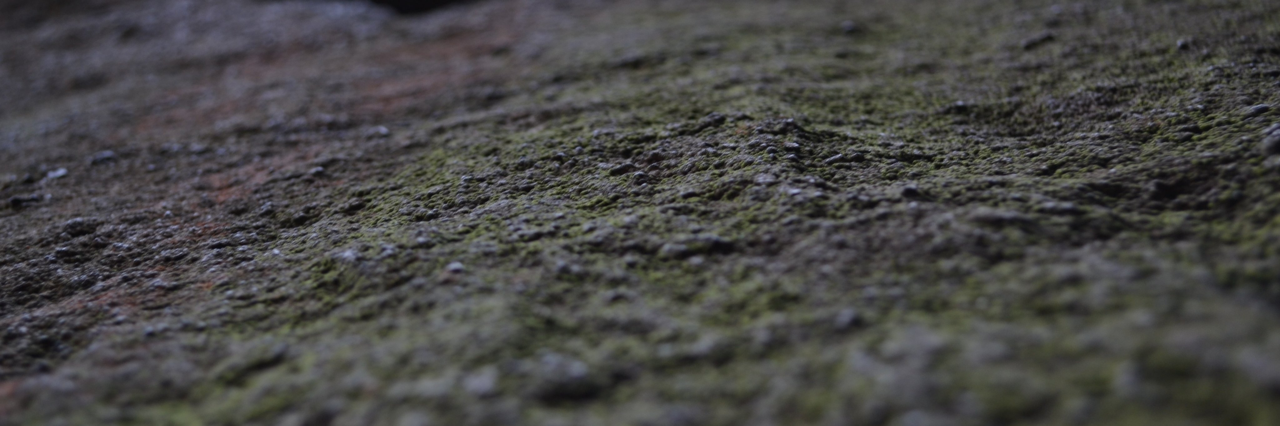 AlexHopley's profile banner image
