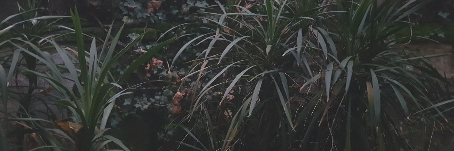 Sergio Osorio banner