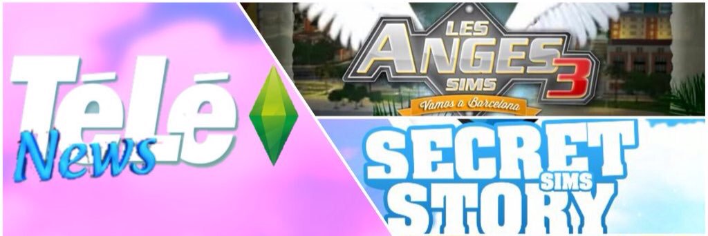 Télé News Sims banner