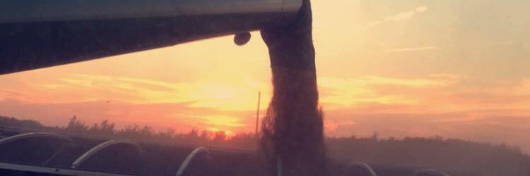 6_austen's profile banner image