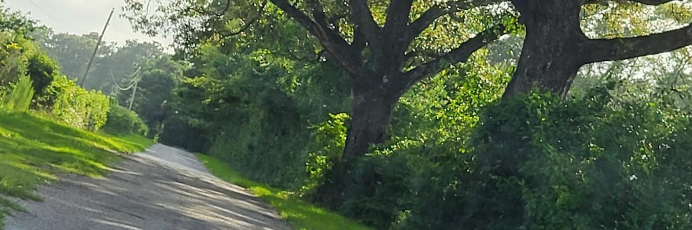 GarrettClarkvv's profile banner image