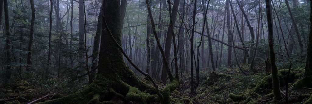 Eyeless jack banner