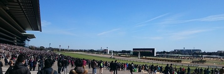欅頼夢 banner