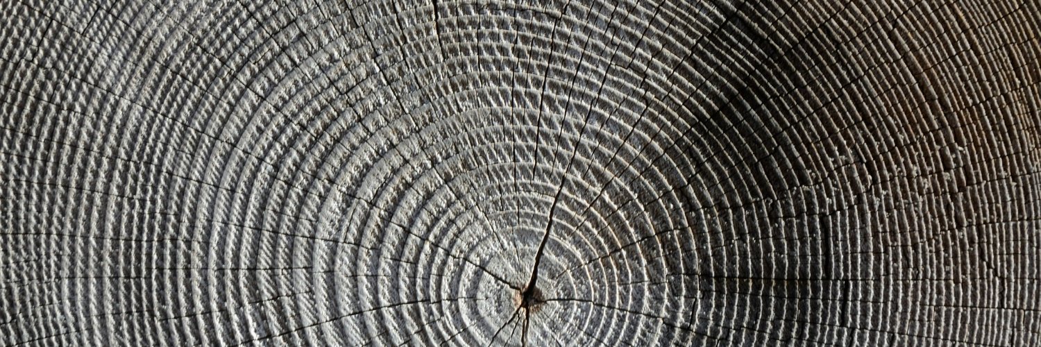 National Sawdust Log banner