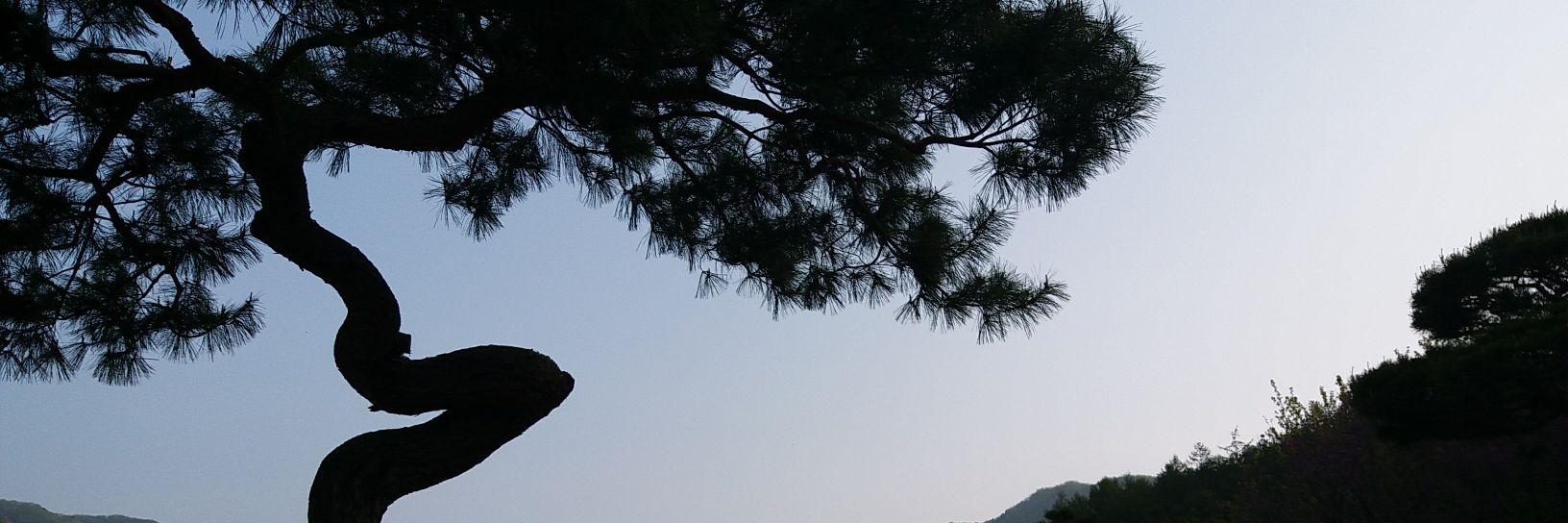 itsalwaysme_SN's profile banner image