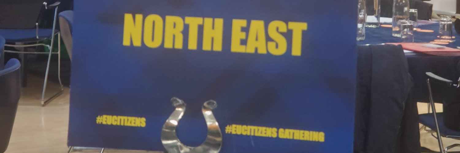 🇪🇺 North East 4 Europe #FBPE banner