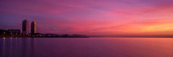 Susan0reilly_Wi Profile Banner