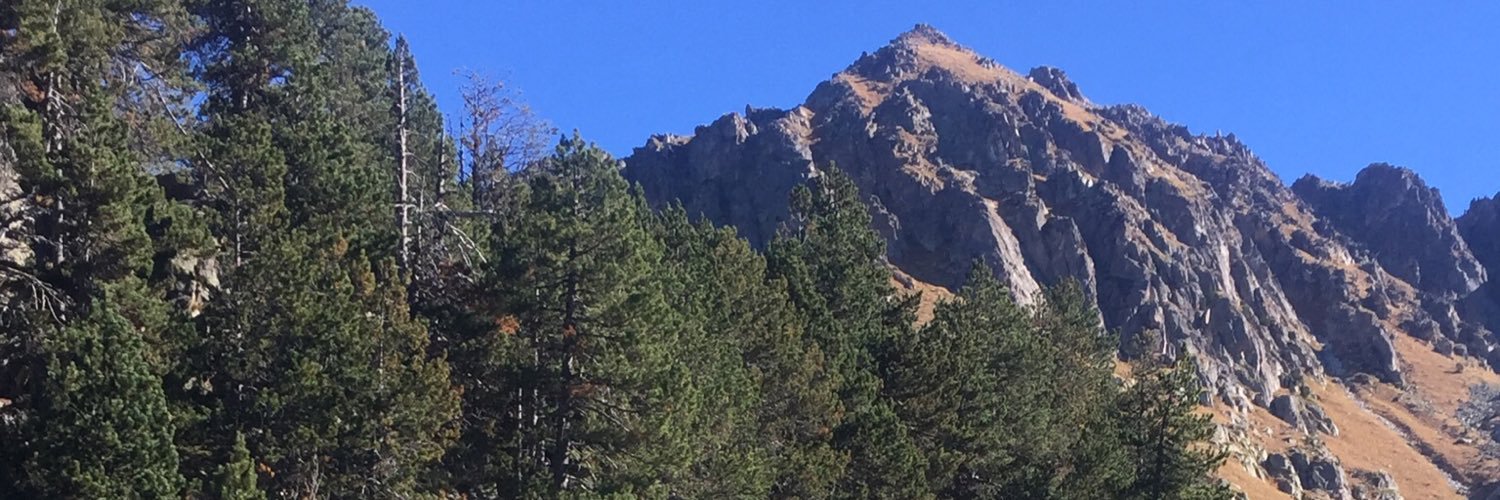 Christelle Castet banner