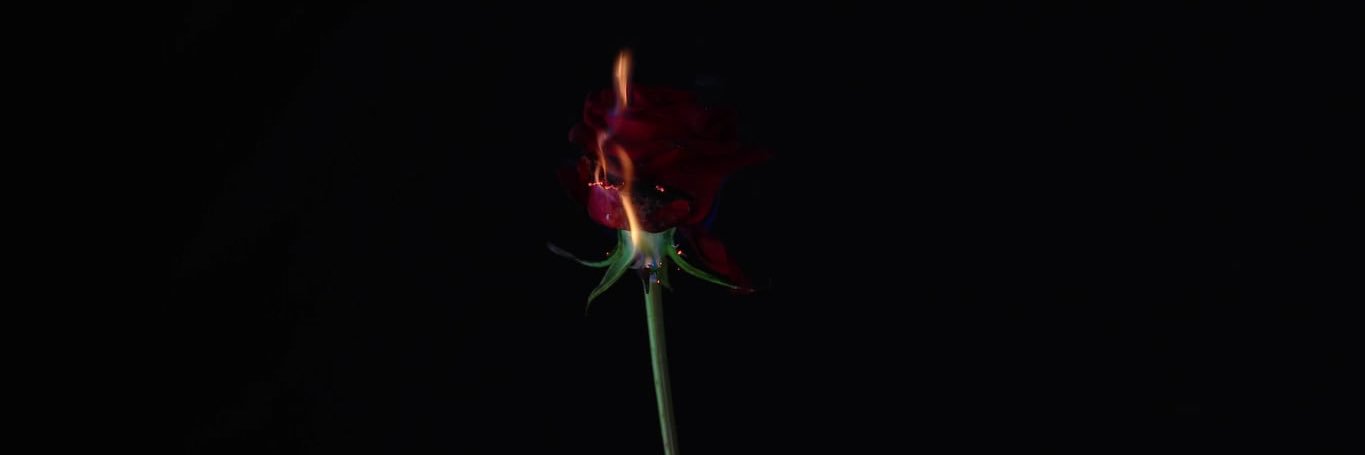 BrandonMapalo's profile banner image