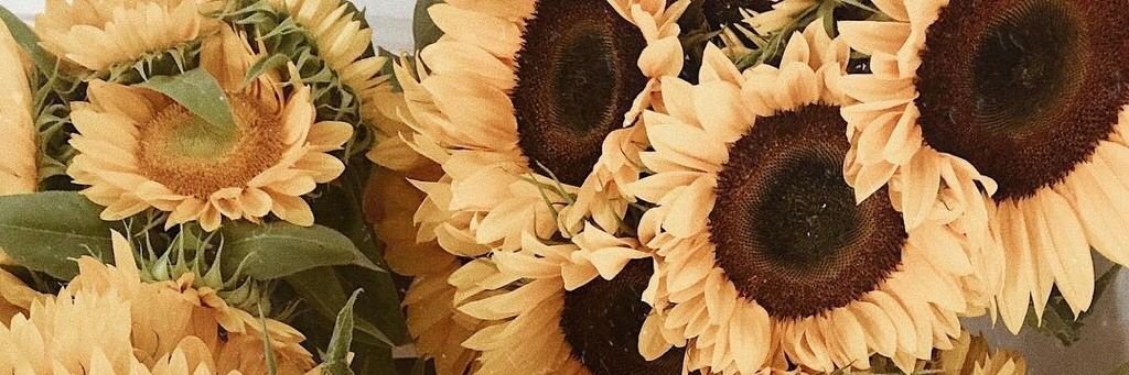 _jssln26's profile banner image