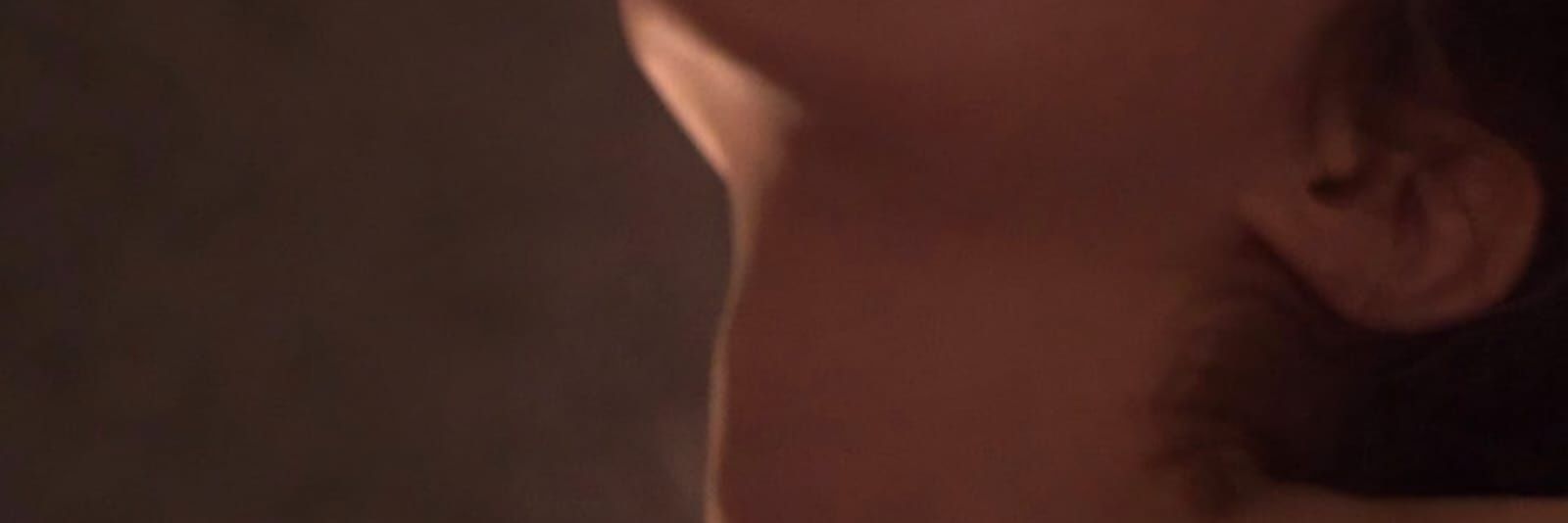 barata cascuda banner