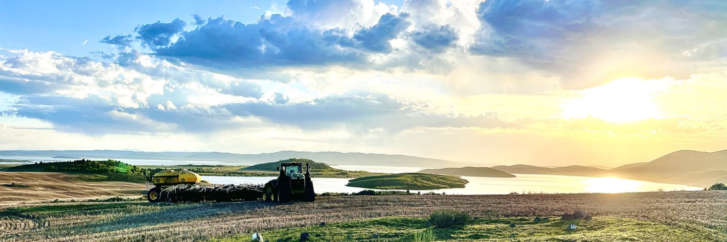 🌾Lakey🌾 banner