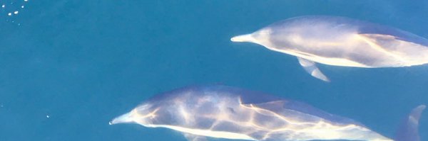 yao_rong5 Profile Banner