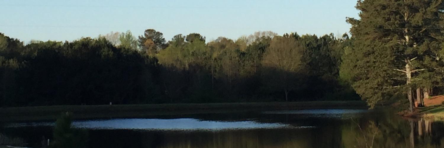 Robby4au's profile banner image