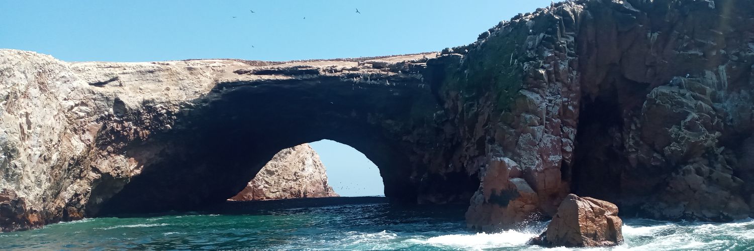 Fernando Cabello banner