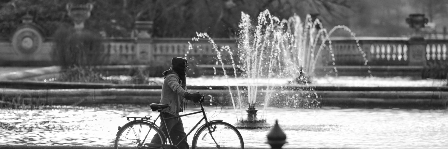 Alexander Naylor banner