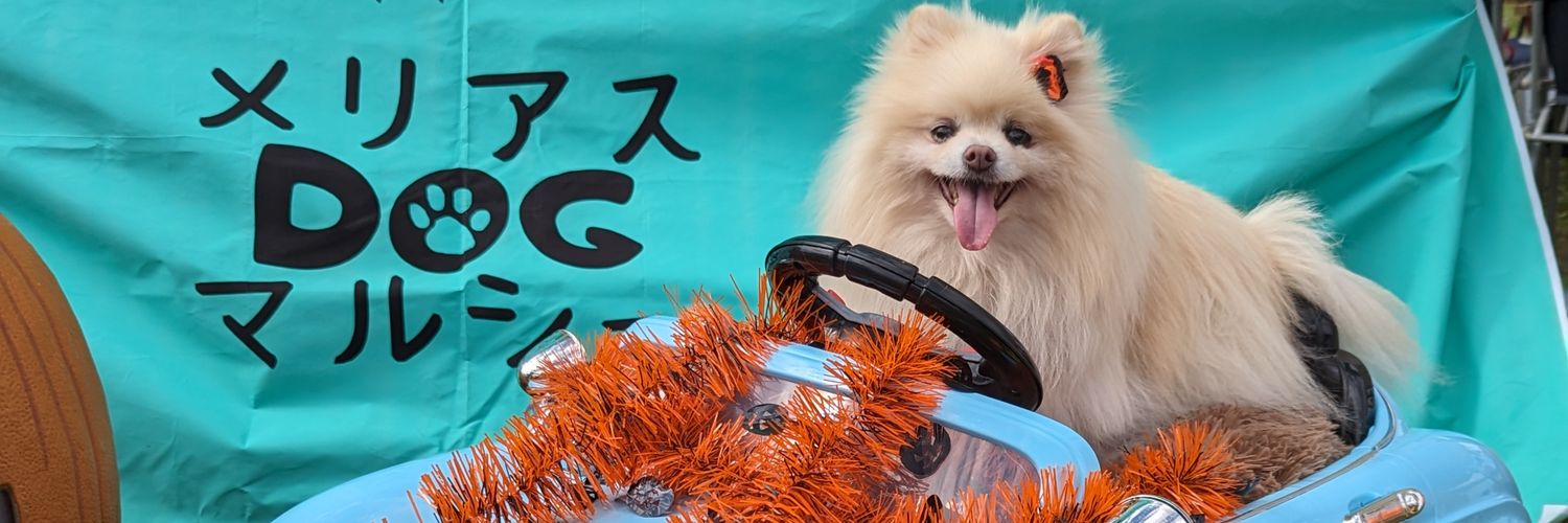 milmil2323's profile banner image