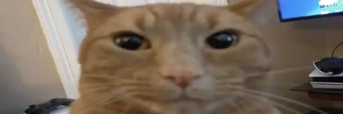 Z0m6ienightmare's profile banner image