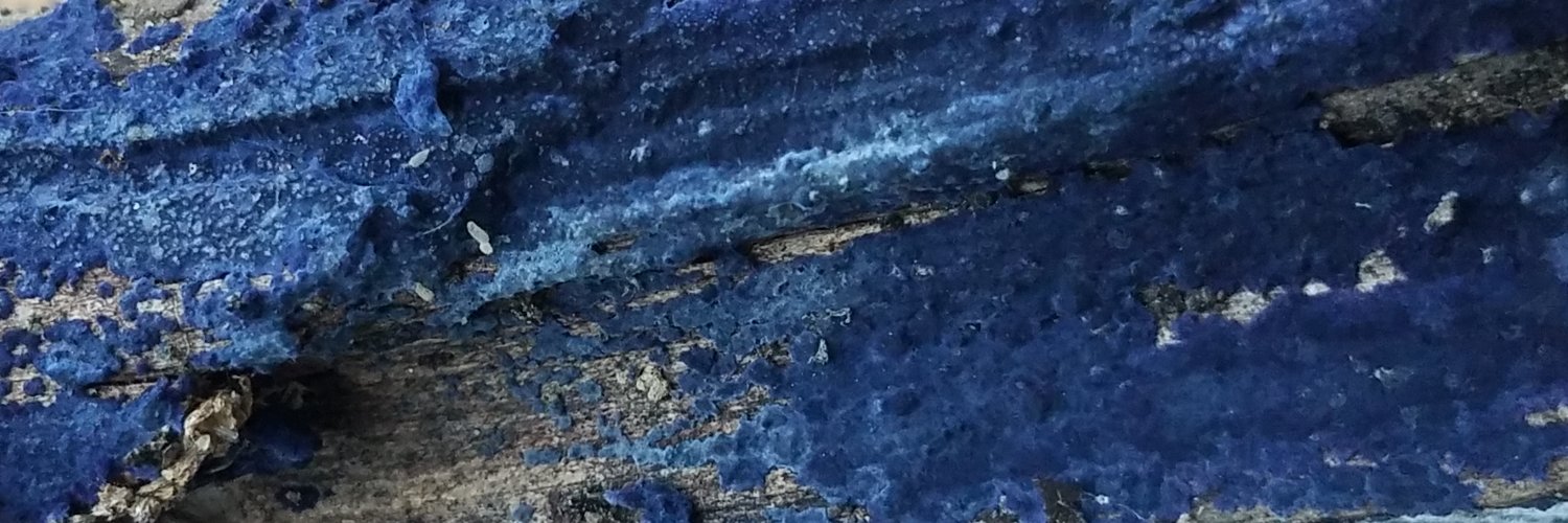 benedetto's profile banner image