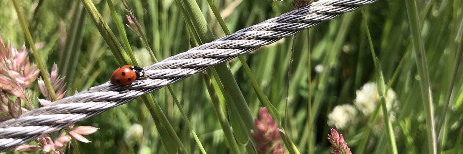 Mrs. Manning❤️🌎☁️🌱☀️ banner