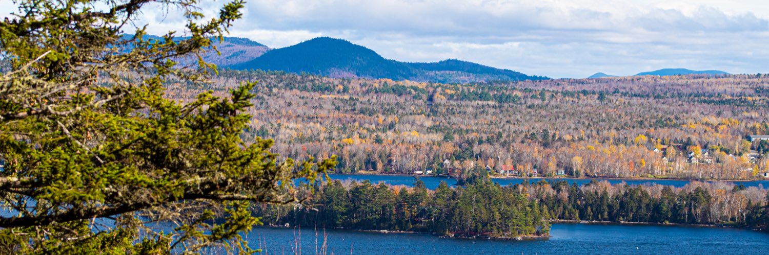 Little Sauce 💦 banner