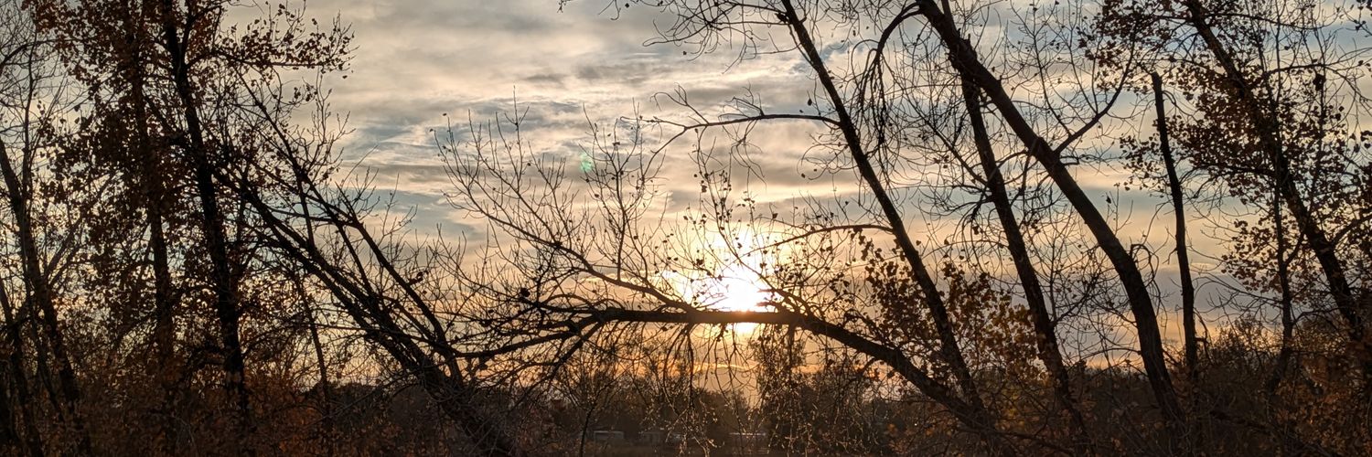 Phantomripple0's profile banner image