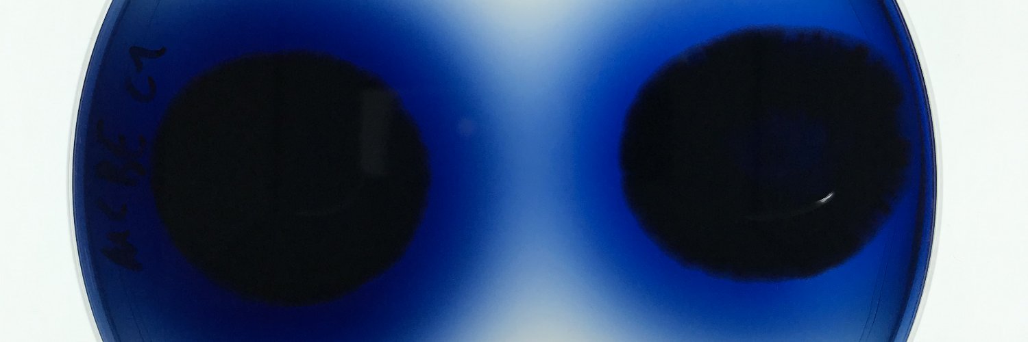 Christopher Whitford banner