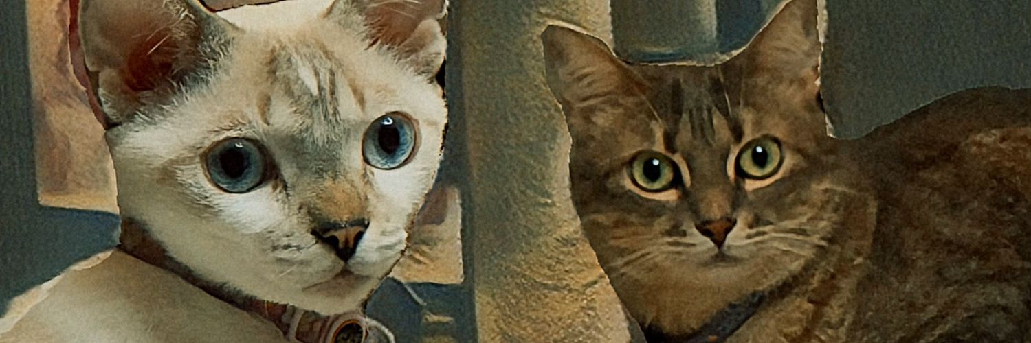 arevarepa's profile banner image