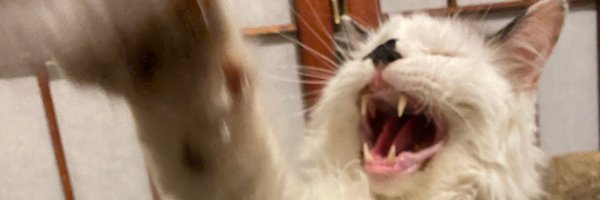 ratfancy Profile Banner