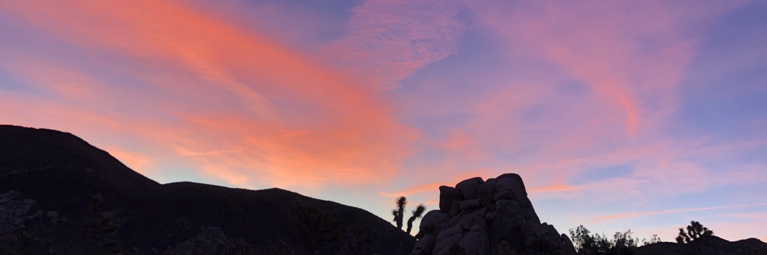 MalloryyKennedy's profile banner image